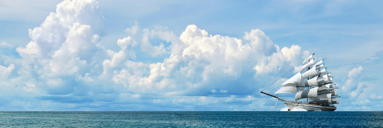 成为全球客户最信赖的芯片供应链伙伴