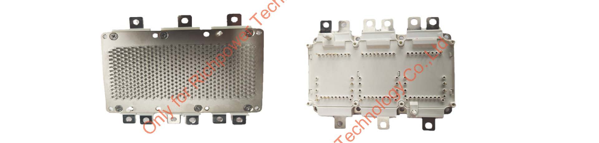 RL800N1200A Sic Module only for richpower.jpg